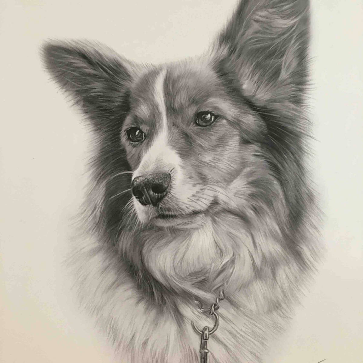 Corgi 