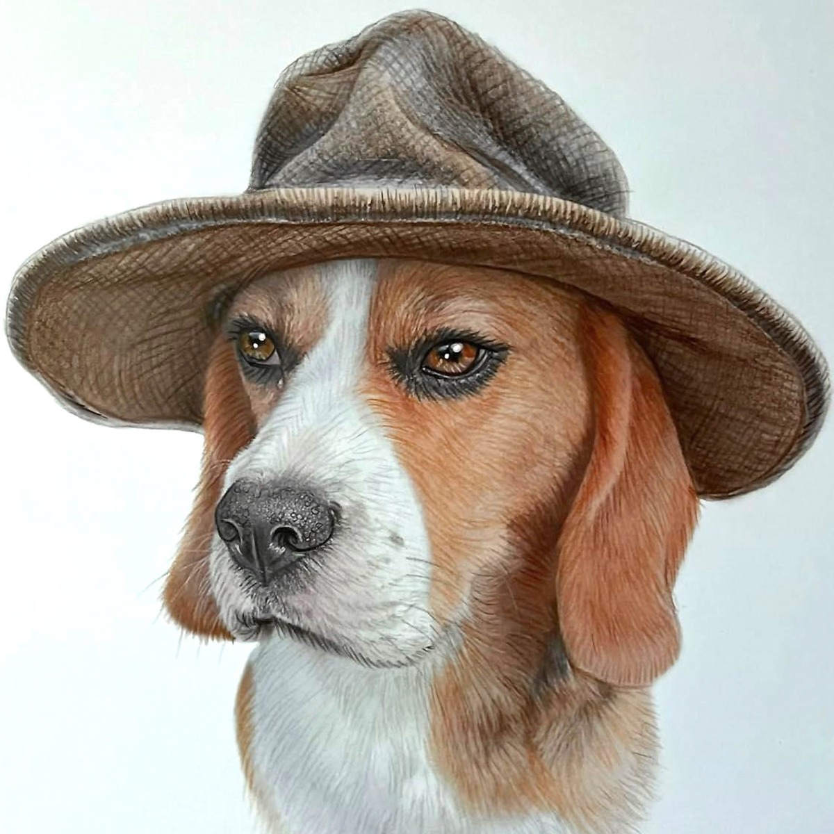 Beagle in a hat 