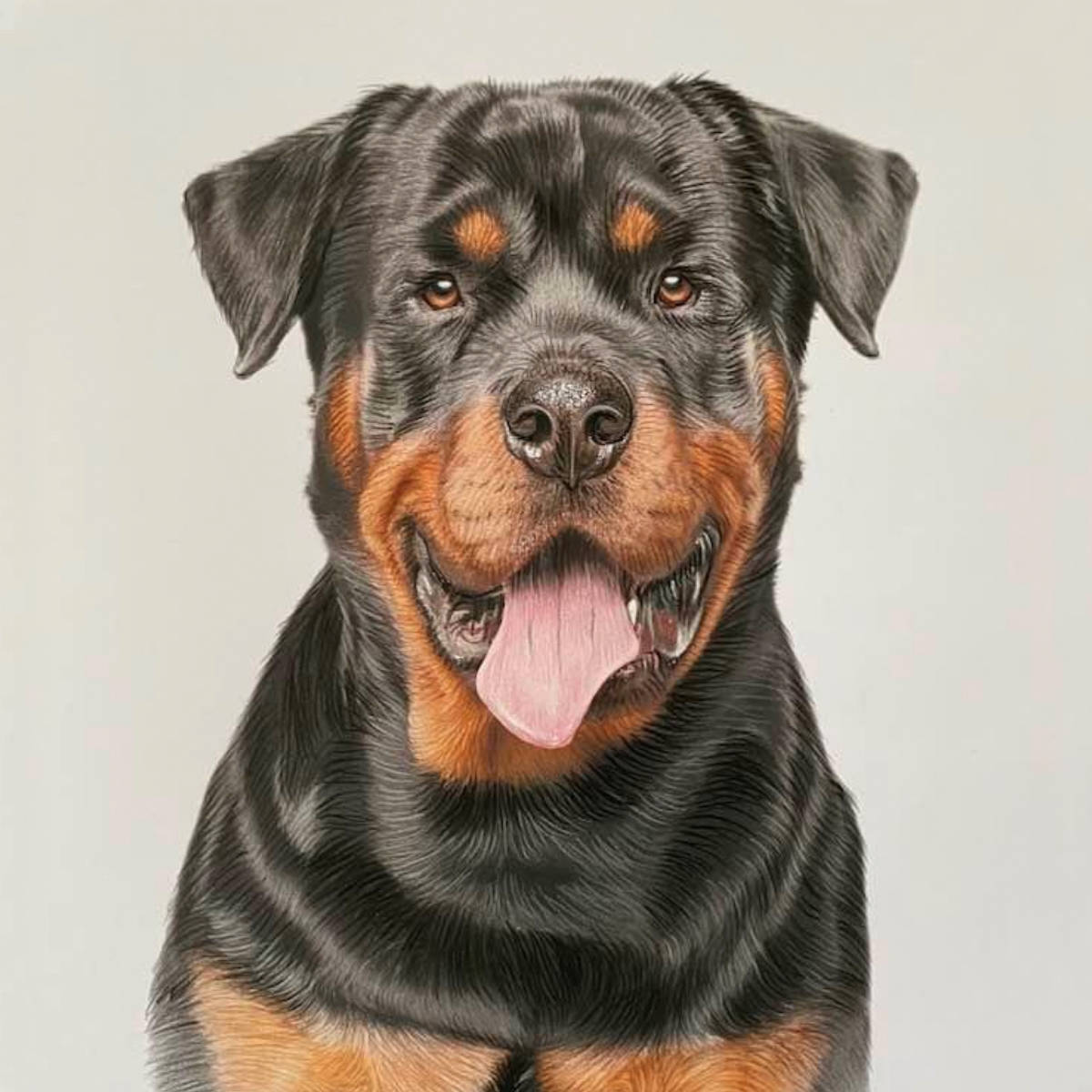Rottweiler