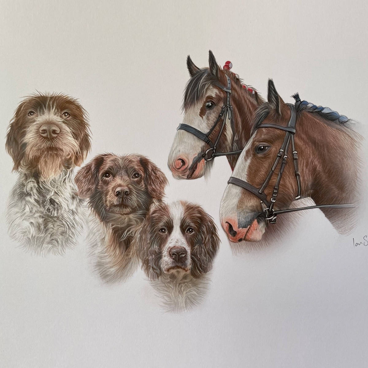 Dog and horses